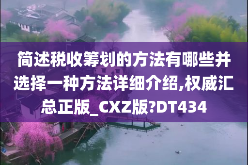 简述税收筹划的方法有哪些并选择一种方法详细介绍,权威汇总正版_CXZ版?DT434