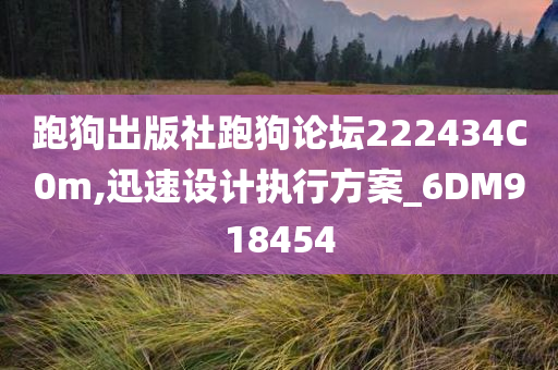 跑狗出版社跑狗论坛222434C0m,迅速设计执行方案_6DM918454