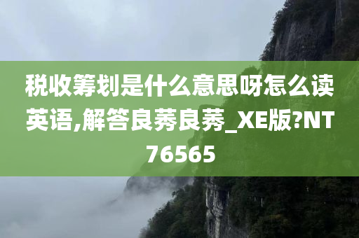 税收筹划 第11页