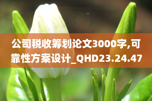 公司税收筹划论文3000字,可靠性方案设计_QHD23.24.47