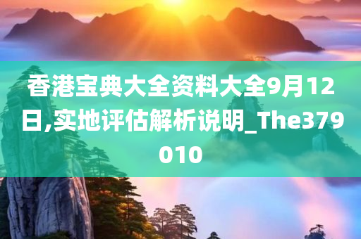 香港宝典大全资料大全9月12日,实地评估解析说明_The379010