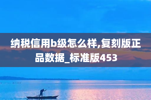 纳税信用b级怎么样,复刻版正品数据_标准版453