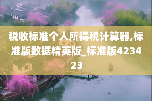 税收标准个人所得税计算器,标准版数据精英版_标准版423423