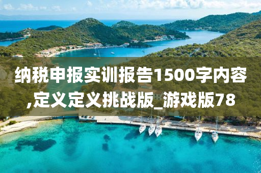 纳税申报实训报告1500字内容,定义定义挑战版_游戏版78