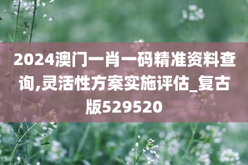 2024澳门一肖一码精准资料查询,灵活性方案实施评估_复古版529520