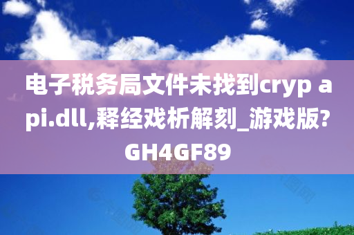 电子税务局文件未找到cryp api.dll,释经戏析解刻_游戏版?GH4GF89