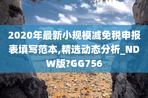 2020年最新小规模减免税申报表填写范本,精选动态分析_NDW版?GG756