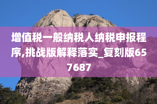 增值税一般纳税人纳税申报程序,挑战版解释落实_复刻版657687