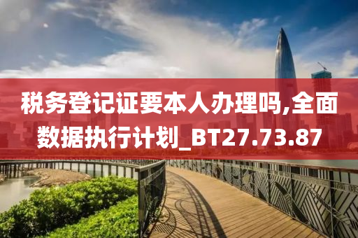 税务登记证要本人办理吗,全面数据执行计划_BT27.73.87