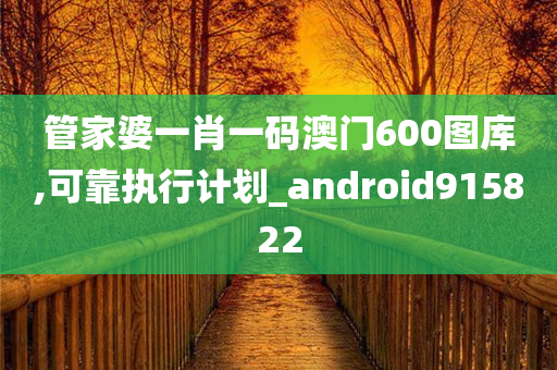 管家婆一肖一码澳门600图库,可靠执行计划_android915822