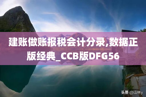 建账做账报税会计分录,数据正版经典_CCB版DFG56