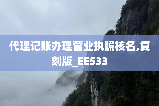 代理记账办理营业执照核名,复刻版_EE533