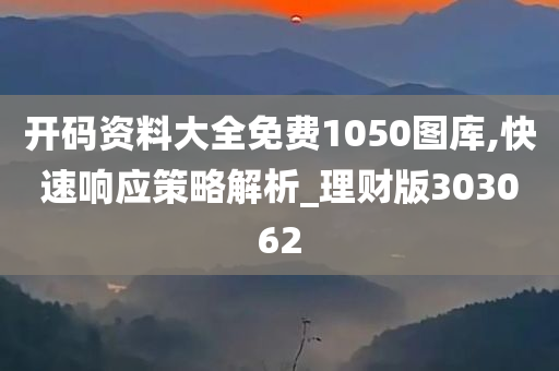 开码资料大全免费1050图库,快速响应策略解析_理财版303062