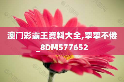 澳门彩霸王资料大全,孳孳不倦_8DM577652