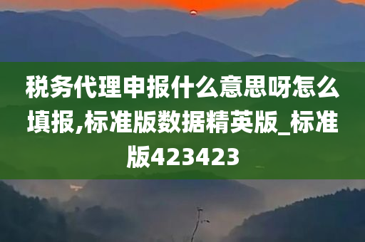 税务代理申报什么意思呀怎么填报,标准版数据精英版_标准版423423