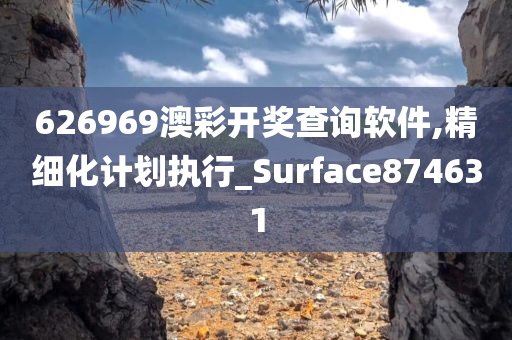 626969澳彩开奖查询软件,精细化计划执行_Surface874631