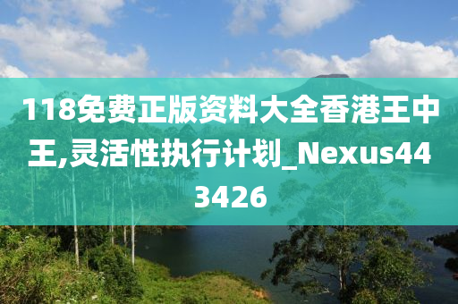 118免费正版资料大全香港王中王,灵活性执行计划_Nexus443426