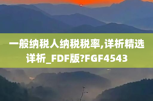 一般纳税人纳税税率,详析精选详析_FDF版?FGF4543