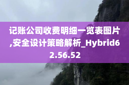 记账公司收费明细一览表图片,安全设计策略解析_Hybrid62.56.52