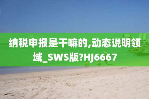 纳税申报是干嘛的,动态说明领域_SWS版?HJ6667