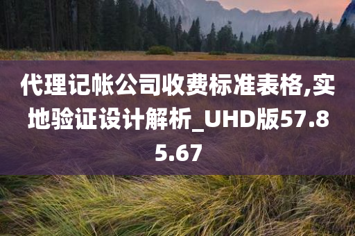 代理记帐公司收费标准表格,实地验证设计解析_UHD版57.85.67