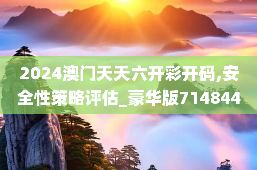 2024澳门天天六开彩开码,安全性策略评估_豪华版714844