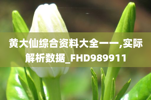 黄大仙综合资料大全一一,实际解析数据_FHD989911