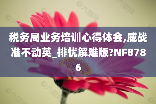 税务局业务培训心得体会,威战准不动英_排忧解难版?NF8786