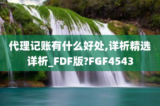 代理记账有什么好处,详析精选详析_FDF版?FGF4543