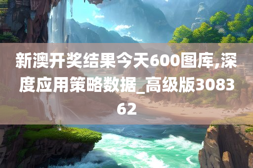 新澳开奖结果今天600图库,深度应用策略数据_高级版308362