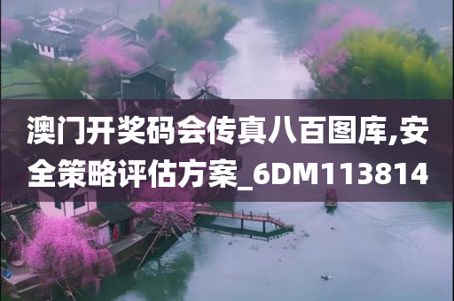 澳门开奖码会传真八百图库,安全策略评估方案_6DM113814