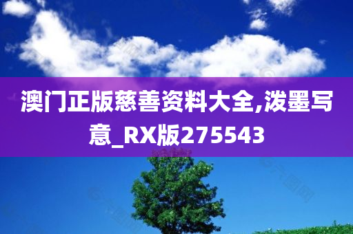 澳门正版慈善资料大全,泼墨写意_RX版275543