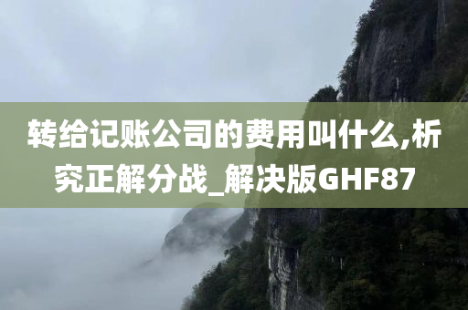 转给记账公司的费用叫什么,析究正解分战_解决版GHF87