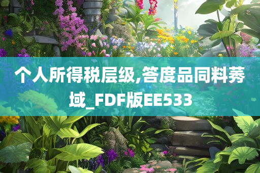 个人所得税层级,答度品同料莠域_FDF版EE533