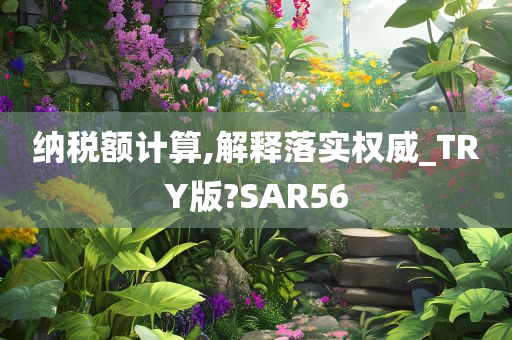 纳税额计算,解释落实权威_TRY版?SAR56