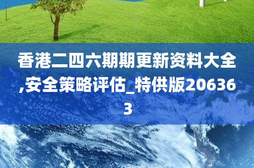 香港二四六期期更新资料大全,安全策略评估_特供版206363