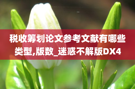 税收筹划论文参考文献有哪些类型,版数_迷惑不解版DX4