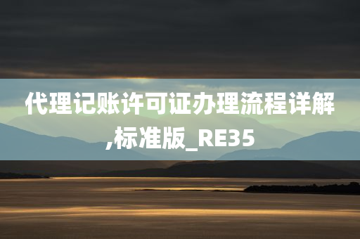 代理记账许可证办理流程详解,标准版_RE35