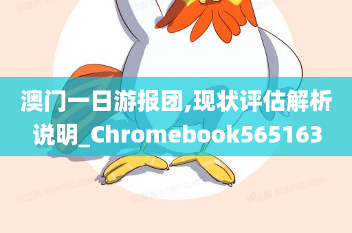 澳门一日游报团,现状评估解析说明_Chromebook565163