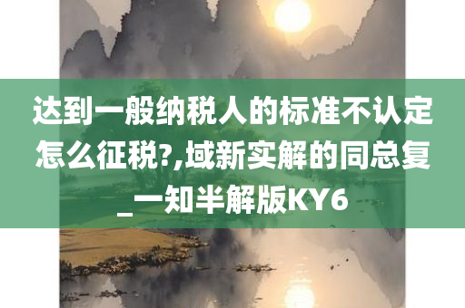 达到一般纳税人的标准不认定怎么征税?,域新实解的同总复_一知半解版KY6