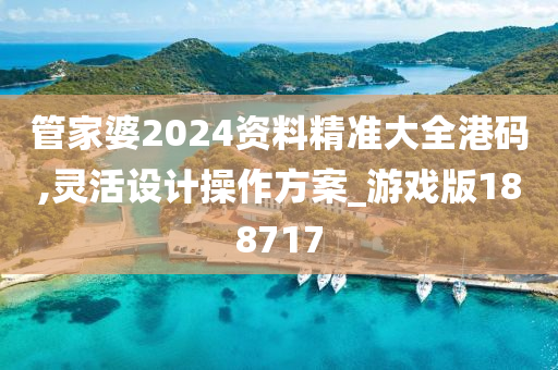 管家婆2024资料精准大全港码,灵活设计操作方案_游戏版188717