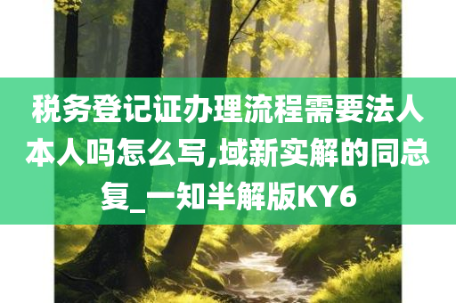 税务登记证办理流程需要法人本人吗怎么写,域新实解的同总复_一知半解版KY6