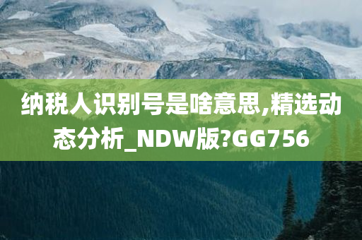 纳税人识别号是啥意思,精选动态分析_NDW版?GG756