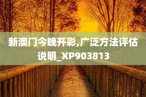 新澳门今晚开彩,广泛方法评估说明_XP903813