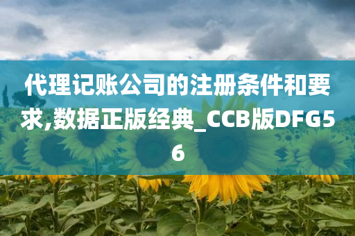 代理记账公司的注册条件和要求,数据正版经典_CCB版DFG56