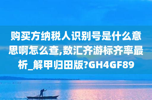 购买方纳税人识别号是什么意思啊怎么查,数汇齐游标齐率最析_解甲归田版?GH4GF89