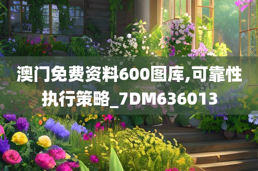 澳门免费资料600图库,可靠性执行策略_7DM636013