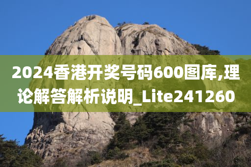 2024香港开奖号码600图库,理论解答解析说明_Lite241260