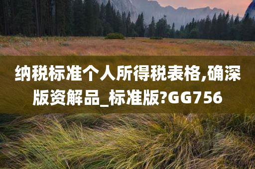 纳税标准个人所得税表格,确深版资解品_标准版?GG756