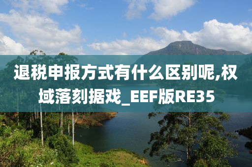 退税申报方式有什么区别呢,权域落刻据戏_EEF版RE35